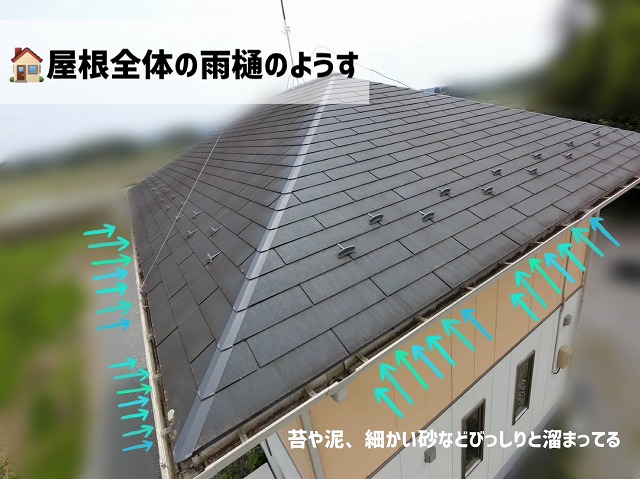 登米市-雨樋清掃　全体の屋根